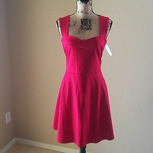 Lace Royal Blue Dress w/ V-Cut Neckline (Size 16)